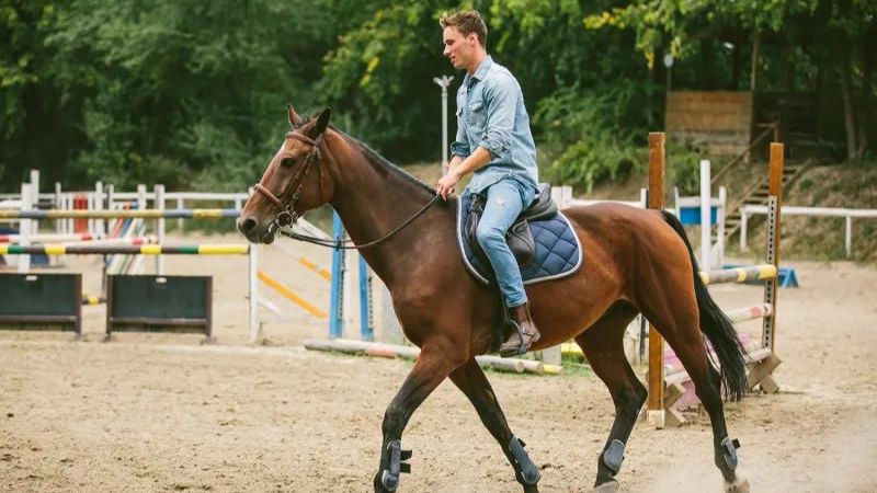 7 Horse Riding Tips For Beginners Advanced Riders