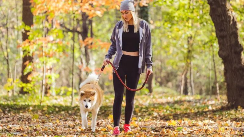 8 Reasons To Take A 15 Minute Walk Today