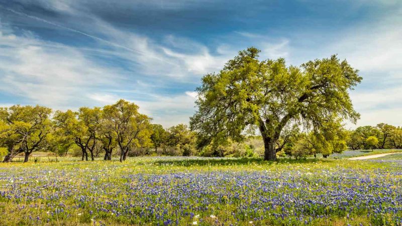 8 Most Beautiful Places In Texas According To A Born And Raised Texan